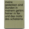 Meine Gedanken Sind Wunden In Meinem Gehirn: Heiner M Ller Und Das Motiv Des Scheiterns by J. Rg Sauskat