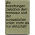 Die Beziehungen Zwischen Dem Mercosur Und Der Europaischen Union: Mehr Als Nur Wirtschaft