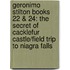 Geronimo Stilton Books 22 & 24: The Secret Of Cacklefur Castle/Field Trip To Niagra Falls