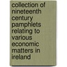 Collection Of Nineteenth Century Pamphlets Relating To Various Economic Matters In Ireland door Unknown Author
