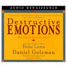 Destructive Emotions: How Can We Overcome Them?: A Scientific Dialogue With The Dalai Lama by Hh The Dalai Lama