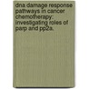 Dna Damage Response Pathways In Cancer Chemotherapy: Investigating Roles Of Parp And Pp2A. door Dara Ditsworth