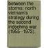 Between The Storms: North Vietnam's Strategy During The Second Indochina War (1955--1973).