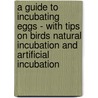 A Guide To Incubating Eggs - With Tips On Birds Natural Incubation And Artificial Incubation by Anon