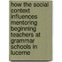 How The Social Context Influences Mentoring Beginning Teachers At Grammar Schools In Lucerne