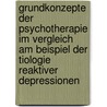 Grundkonzepte Der Psychotherapie Im Vergleich Am Beispiel Der Tiologie Reaktiver Depressionen door Tobias R. Sner