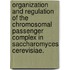 Organization And Regulation Of The Chromosomal Passenger Complex In Saccharomyces Cerevisiae.