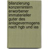 Bilanzierung Konzernintern Erworbener Immaterieller Guter Des Anlagevermogens Nach Hgb Und Ias door Daniel Wiegand