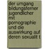 Der Umgang Bildungsferner Jugendlicher Mit Pornographie Und Die Auswirkung Auf Deren Sexualit T