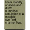 Linear Stability Analysis And Direct Numerical Simulation Of A Miscible Two-Fluid Channel Flow. door Siina Ilona Haapanen