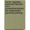 Insulin Regulates Adipocyte Lipolysis Via A Compartmentalized Akt-Independent Signaling Pathway. door Sarah M. Choi