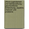 Offene Jugendarbeit Und Heimerziehung - Geschichtliche Entwicklung, Aspekte, Chancen Und Probleme door Kerry Herrmann