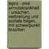 Lepra - Eine Armutskrankheit - Ursachen, Verbreitung Und Soziale Folgen, Mit Schwerpunkt Brasilien