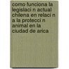 Como Funciona La Legislaci N Actual Chilena En Relaci N A La Protecci N Animal En La Ciudad De Arica door D. Nica Mera