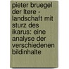 Pieter Bruegel Der Ltere - Landschaft Mit Sturz Des Ikarus: Eine Analyse Der Verschiedenen Bildinhalte door Nadine Deutscher