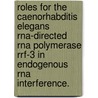 Roles For The Caenorhabditis Elegans Rna-Directed Rna Polymerase Rrf-3 In Endogenous Rna Interference. door Jonathan Isaia Gent