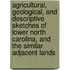 Agricultural, Geological, And Descriptive Sketches Of Lower North Carolina, And The Similar Adjacent Lands