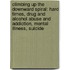 Climbing Up The Downward Spiral: Hard Times, Drug And Alcohol Abuse And Addiction, Mental Illness, Suicide