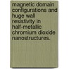 Magnetic Domain Configurations And Huge Wall Resistivity In Half-Metallic Chromium Dioxide Nanostructures. door Xiaojing Zou