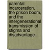 Parental Incarceration, The Prison Boom, And The Intergenerational Transmission Of Stigma And Disadvantage. door Christopher James Wildeman