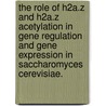 The Role Of H2A.Z And H2A.Z Acetylation In Gene Regulation And Gene Expression In Saccharomyces Cerevisiae. door Jeffrey Edwa Halley