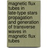 Magnetic Flux Tubes In Late-Type Stars Propagation And Generation Of Transverse Waves In Magnetic Flux Tubes by Towfiq Ahmed
