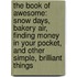 The Book Of Awesome: Snow Days, Bakery Air, Finding Money In Your Pocket, And Other Simple, Brilliant Things
