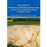 Excavation Of Prehistoric And Romano-British Sites At Marnel Park And Merton Rise (Popley) Basingstoke, 2004-8 door Andrew B. Powell