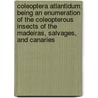 Coleoptera Atlantidum; Being An Enumeration Of The Coleopterous Insects Of The Madeiras, Salvages, And Canaries by Thomas Vernon Wollaston