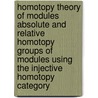 Homotopy Theory Of Modules Absolute And Relative Homotopy Groups Of Modules Using The Injective Homotopy Category by Beatrice Bleile