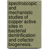 Spectroscopic And Mechanistic Studies Of Copper Active Sites In Bacterial Denitrification And Cofactor Biogenesis. door Somdatta Ghosh