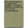 Täter-Opfer-Ausgleich Für Jugendliche Straftäter - Konzepte, Praktische Umsetzung Und Rolle Der Sozialpädagogik by Andrea Triphaus