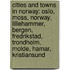 Cities And Towns In Norway: Oslo, Moss, Norway, Lillehammer, Bergen, Fredrikstad, Trondheim, Molde, Hamar, Kristiansund