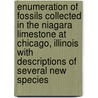 Enumeration Of Fossils Collected In The Niagara Limestone At Chicago, Illinois With Descriptions Of Several New Species by Lld Alexander Winchell