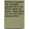Biblische Exegese Der Textstelle Genesis 29,14 Bis 30,24: Jakob Bei Laban / Jakob Dient Um Lea Und Rahel / Jakobs Sohne' by Anonym