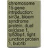 Chromosome 15 Gene Introduction: Sin3A, Bloom Syndrome Protein, Dual Oxidase 1, Tp53Bp1, Tight Junction Protein 1, Bub1B