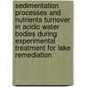 Sedimentation Processes And Nutrients Turnover In Acidic Water Bodies During Experimental Treatment For Lake Remediation door Iglika Gentcheva