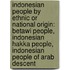 Indonesian People By Ethnic Or National Origin: Betawi People, Indonesian Hakka People, Indonesian People Of Arab Descent