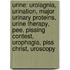 Urine: Urolagnia, Urination, Major Urinary Proteins, Urine Therapy, Pee, Pissing Contest, Urophagia, Piss Christ, Uroscopy