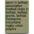 Sport In Belfast: Association Football Clubs In Belfast, Belfast Giants, Belfast Harlequins, Instonians Rugby Union Players