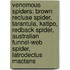 Venomous Spiders: Brown Recluse Spider, Tarantula, Katipo, Redback Spider, Australian Funnel-Web Spider, Latrodectus Mactans