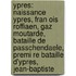 Ypres: Naissance Ypres, Fran Ois Roffiaen, Gaz Moutarde, Bataille De Passchendaele, Premi Re Bataille D'Ypres, Jean-Baptiste