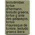 Testudinidae: Tortue D'Hermann, Testudo Graeca, Tortue G Ante Des Galapagos, Tortue Mauresque De Tunisie, Testudo Graeca Ibera
