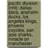Pacific Division (Nhl): Dallas Stars, Anaheim Ducks, Los Angeles Kings, Phoenix Coyotes, San Jose Sharks, Miracle On Manchester