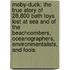 Moby-Duck: The True Story Of 28,800 Bath Toys Lost At Sea And Of The Beachcombers, Oceanographers, Environmentalists, And Fools