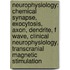 Neurophysiology: Chemical Synapse, Exocytosis, Axon, Dendrite, F Wave, Clinical Neurophysiology, Transcranial Magnetic Stimulation