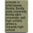 Schools In Tallahassee, Florida: Florida State University, Florida A&M University, Sail High School, James S. Rickards High School