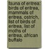 Fauna Of Eritrea: Birds Of Eritrea, Mammals Of Eritrea, Ostrich, List Of Birds Of Eritrea, List Of Moths Of Eritrea, African Buffalo