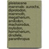 Pleistocene Mammals: Aurochs, Diprotodon, Mammoth, Megatherium, Smilodon, Machairodus, Mylodon, Homotherium, Dinofelis, Paranthropus