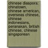 Chinese Diaspora: Chinatown, Chinese American, Overseas Chinese, Chinese Indonesians, Peranakan, British Chinese, Chinese Singaporean